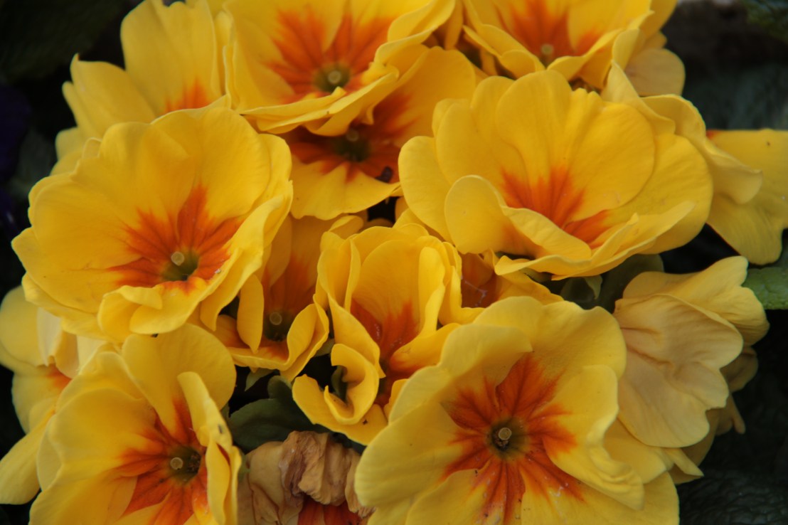 DB0A7865-49E0-4984-AB47-1489ABC4F618