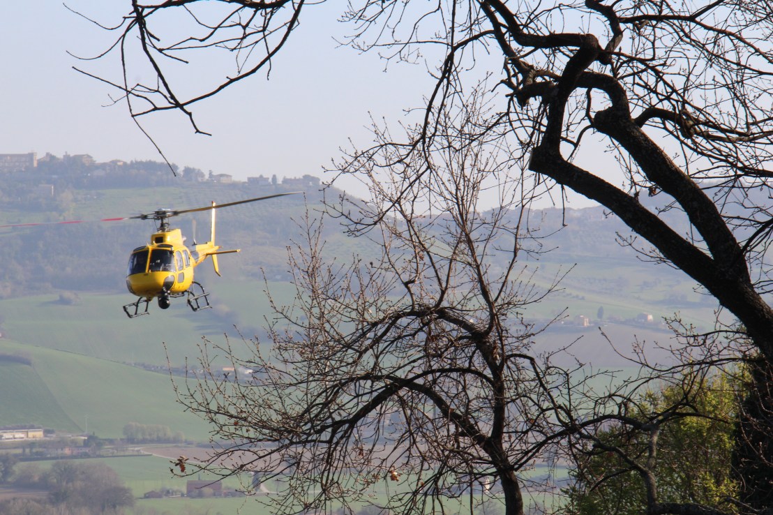 E302BCB5-0599-40A1-8E9F-3A190BC1000B