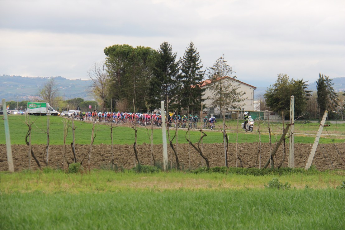 F37E4267-6D88-47EF-9ED0-9EB3C8A44A45