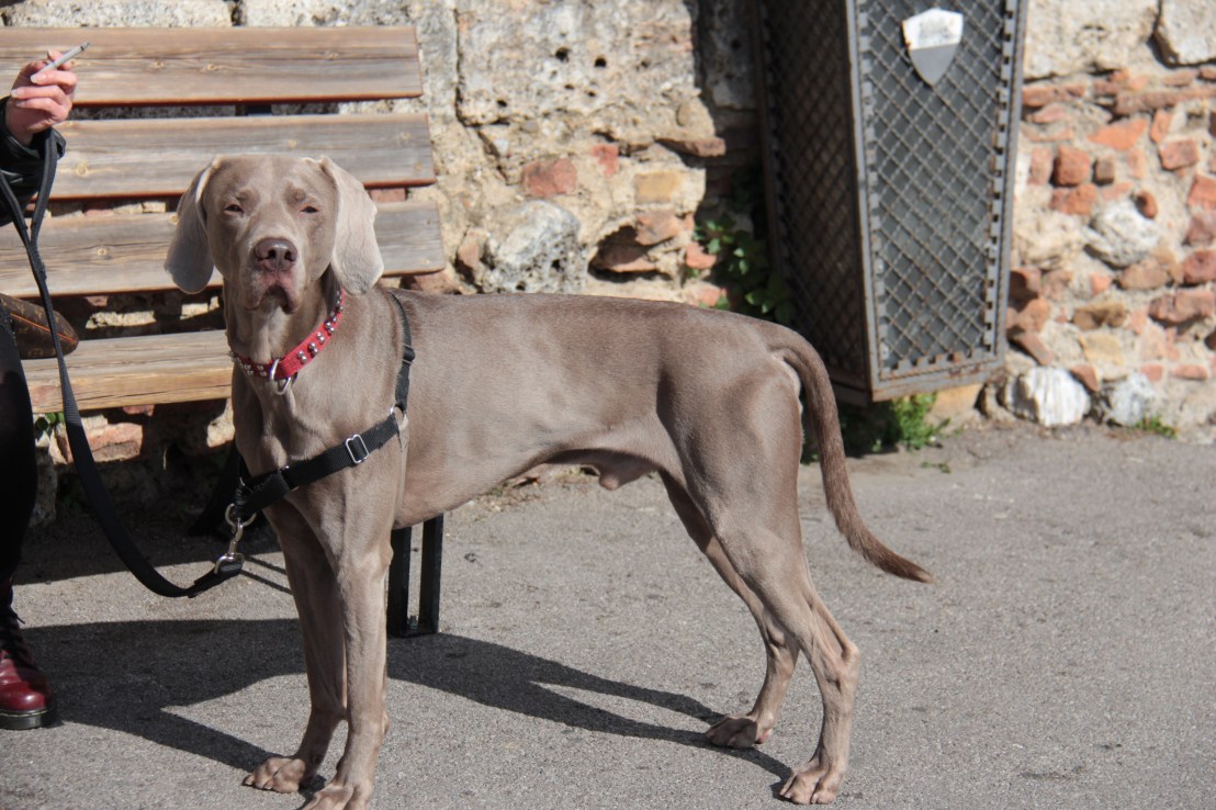 F4B8F980-9B89-47ED-B964-0767350467E5