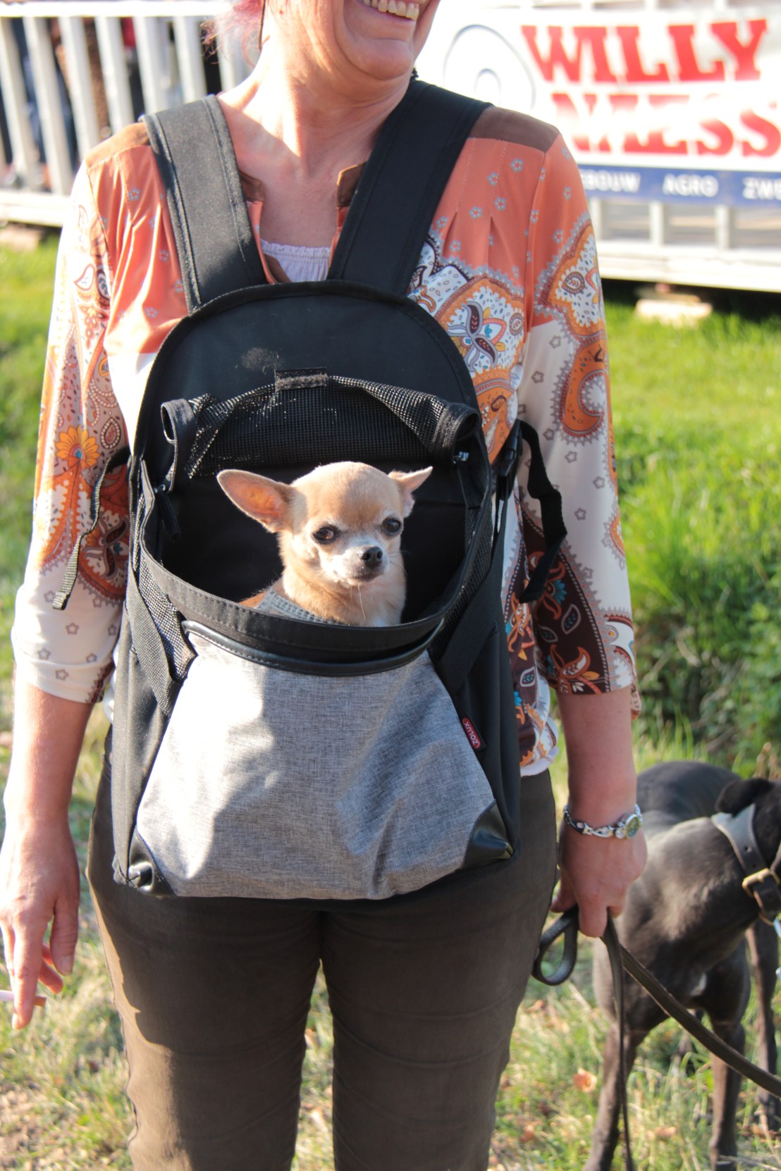 F7033868-6521-4C1A-8C41-C882491E939B