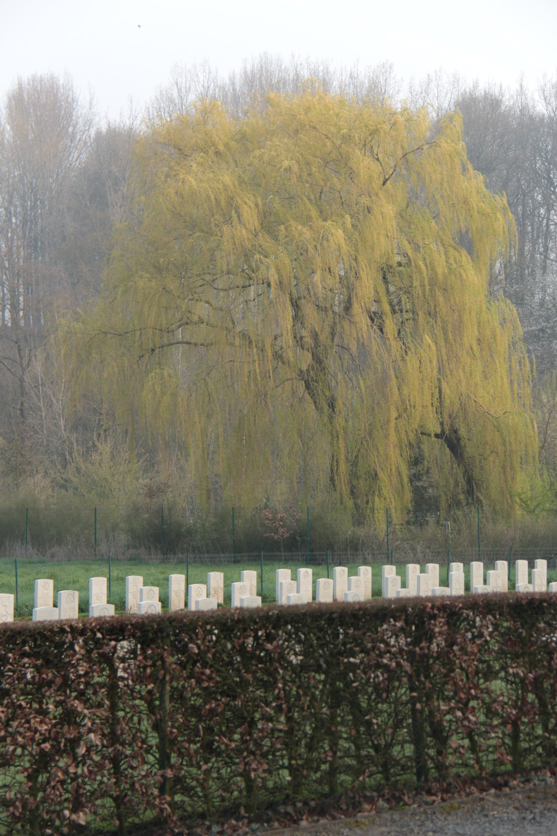 0113FD96-1F27-42BC-BB1A-A816FB24837A