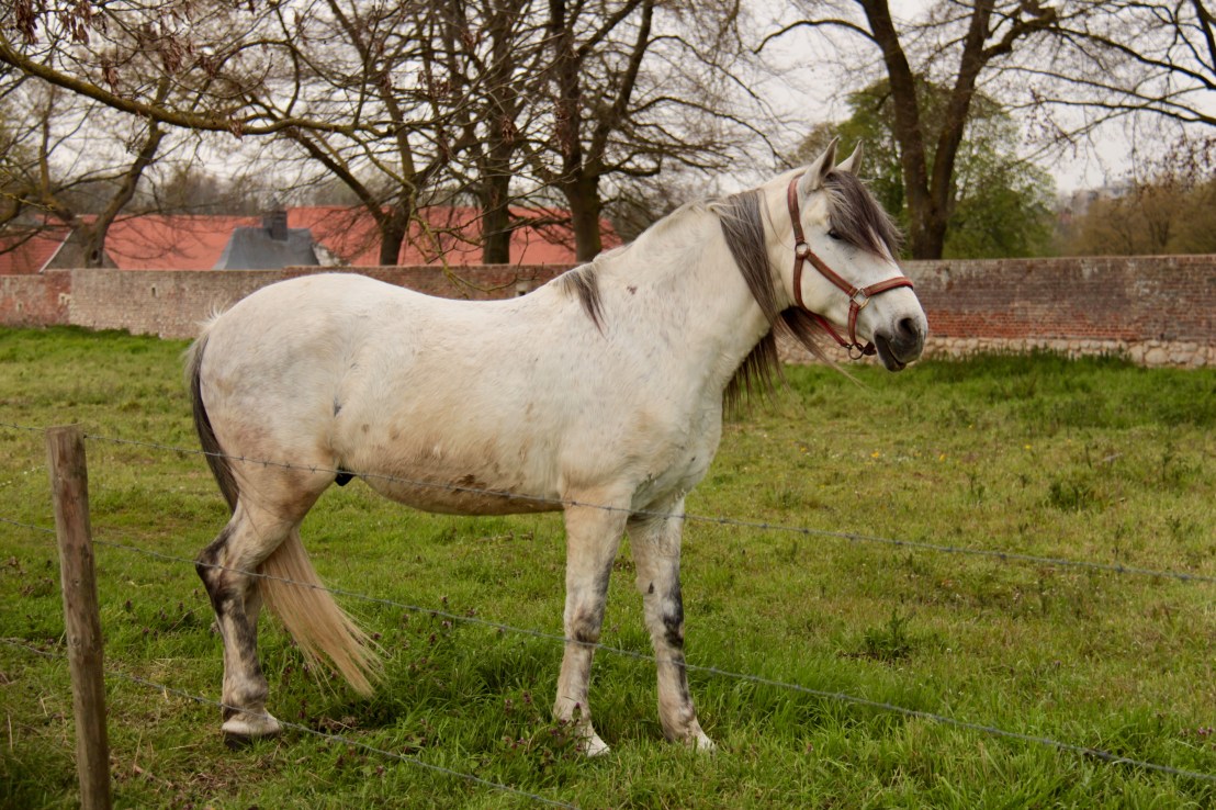 0921DAB7-EB6E-40AB-9731-3713556AE7AE