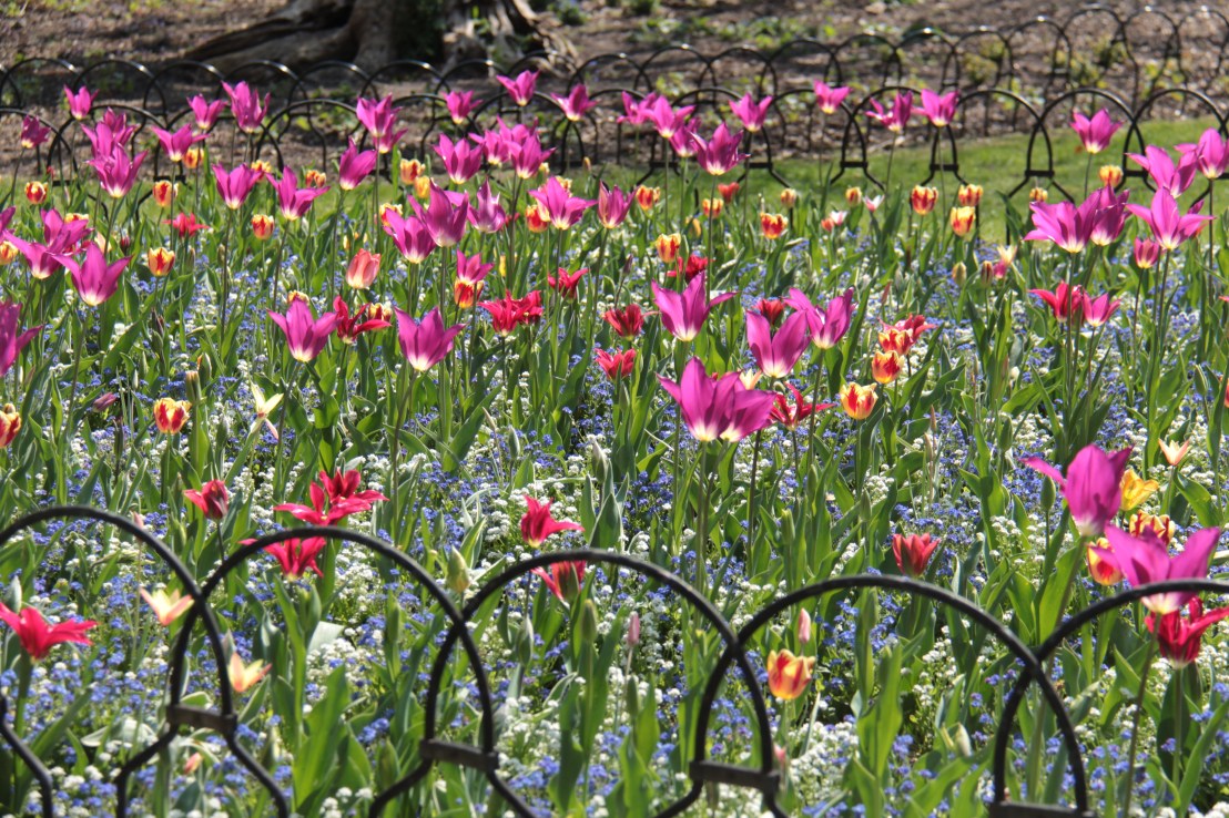 09549EB4-17C0-413E-8C47-312A47A3DCF6