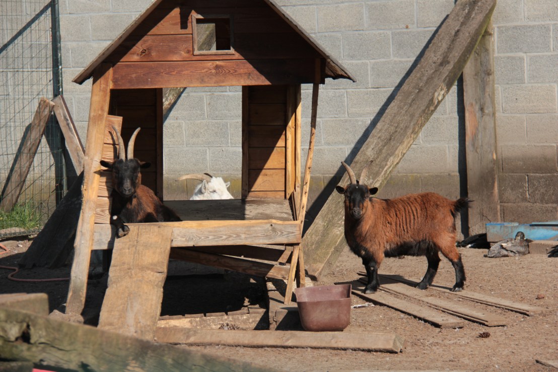 12CA5D2F-244A-4550-B2D9-24A7C7B6A9DB