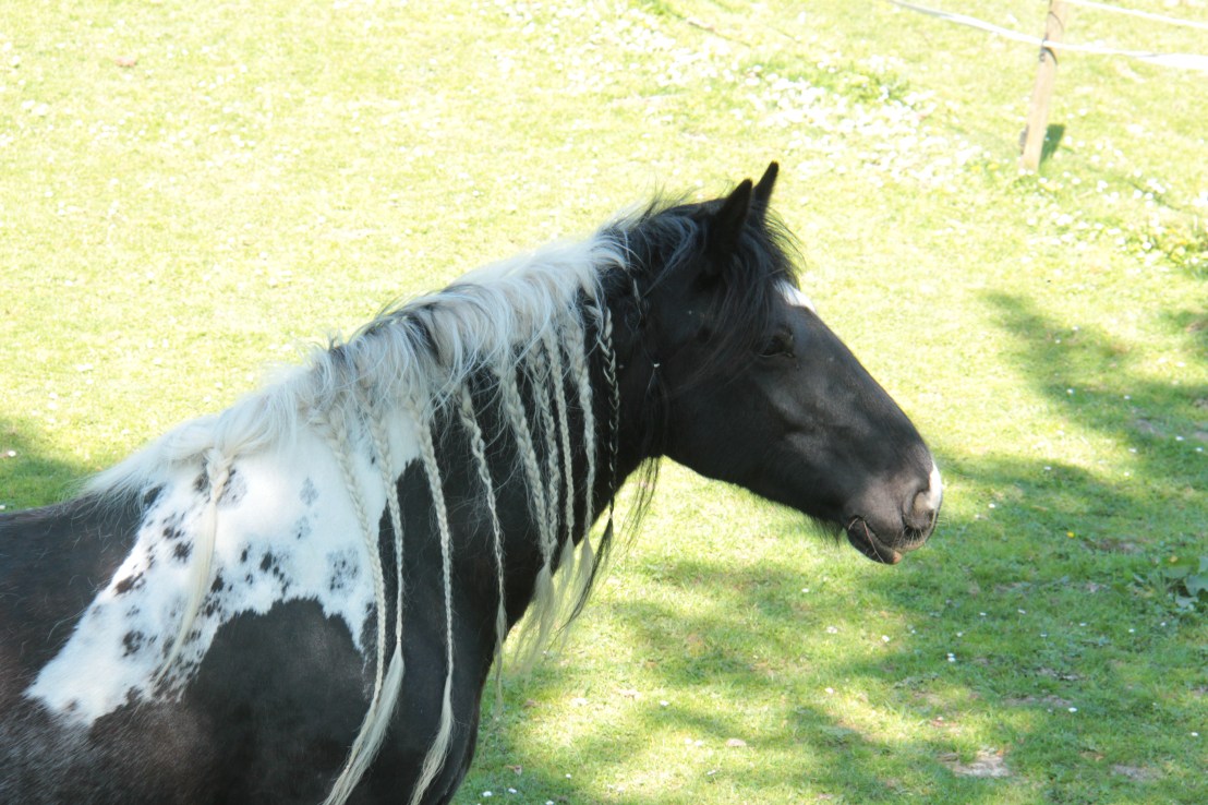 149F47AE-2EF0-4F02-9CEF-4E9F072CC055