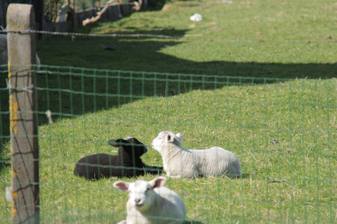 263677B1-172A-4882-BC90-518A4DDF2128