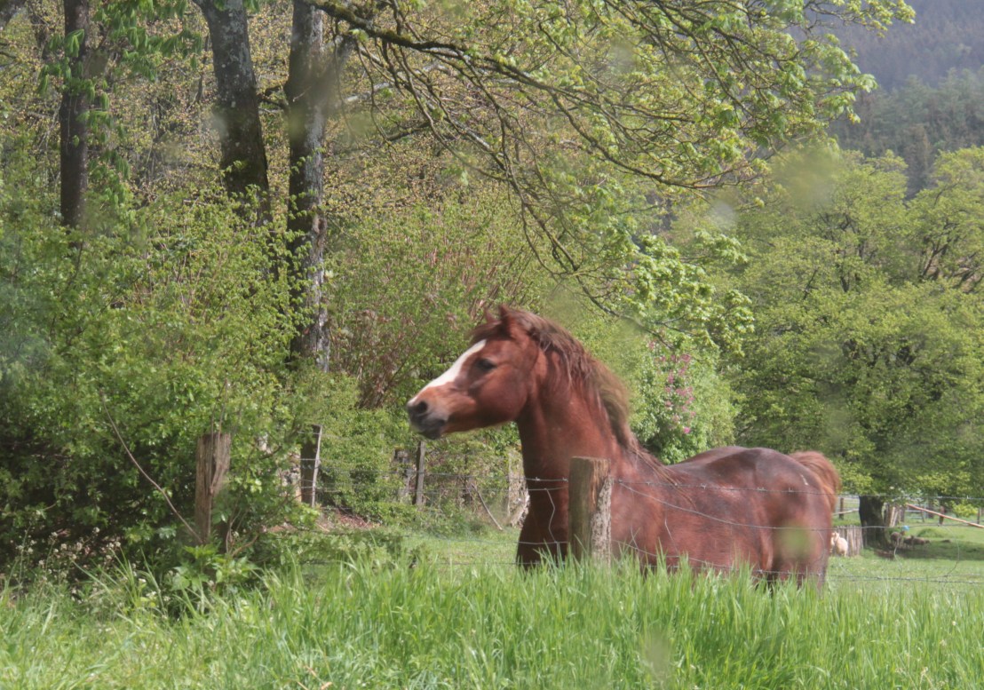 2C692C82-1272-4FDC-B1D9-B9485D4481DA