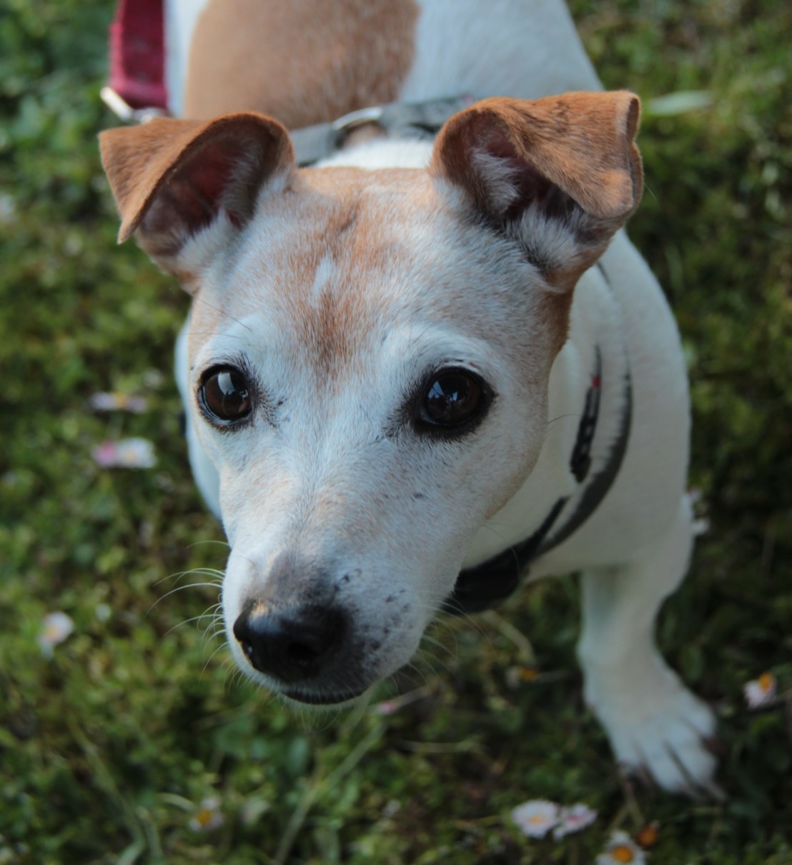 3246215E-4FD6-4D22-930E-008525EE9C1E