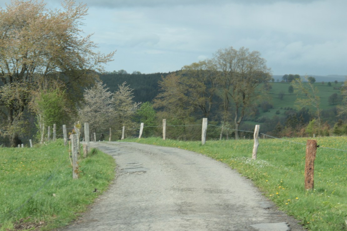 35C18414-2A5D-40C3-B9E5-D5F74F3372FD