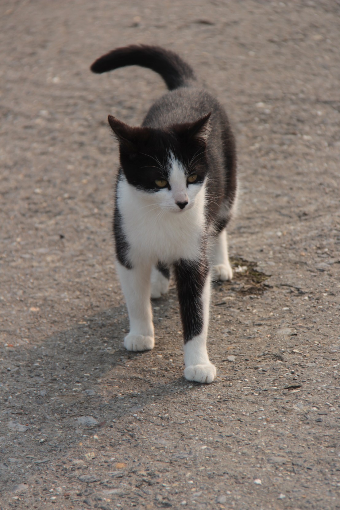 42AD6622-07C2-4D91-BBA0-6E9E3E948C72