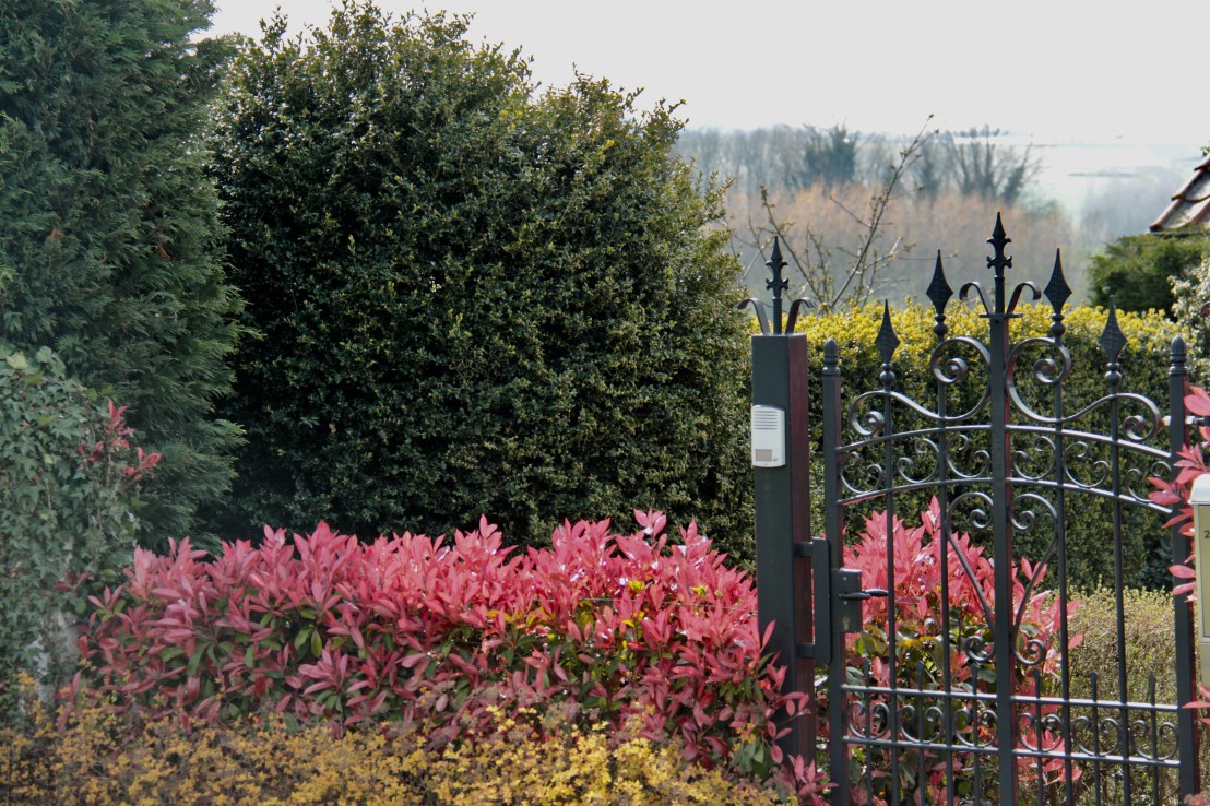 4BCE4A4B-CF52-4628-BAE7-C4F5CF4BC612