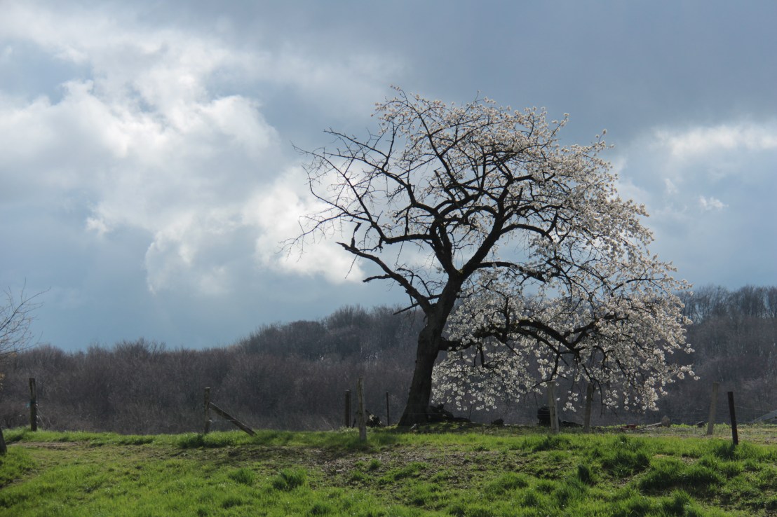 4DC9BCC4-3D39-44C4-AA21-54A99E8DD9F0