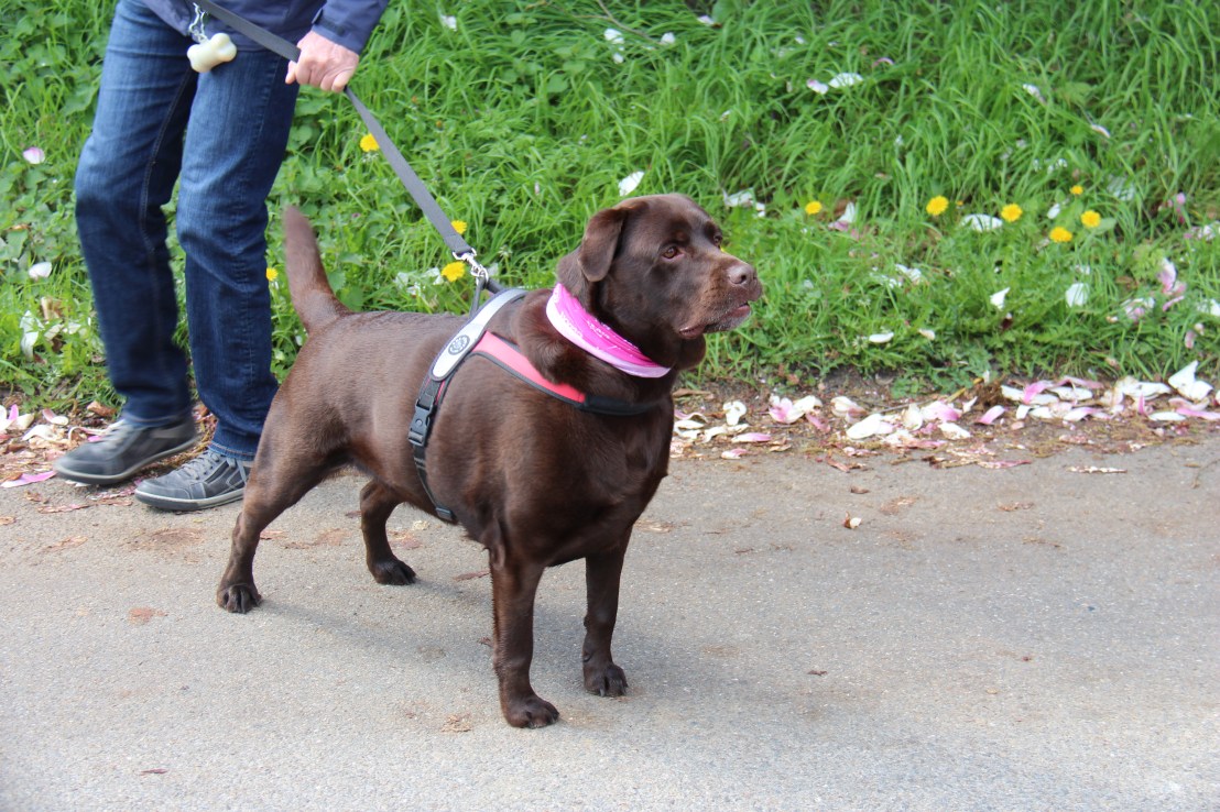 4F415D8C-C0E8-4CA5-BA6C-590BAF569AD8