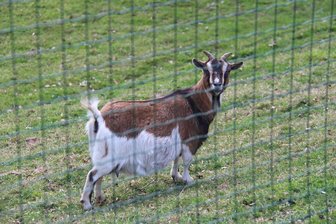 54A144F7-7149-4C08-B5BB-2089ACE38D0D