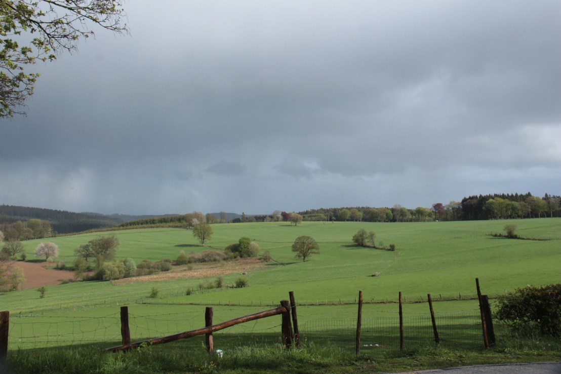 60C663C0-DD34-446A-9067-98B82866BC21