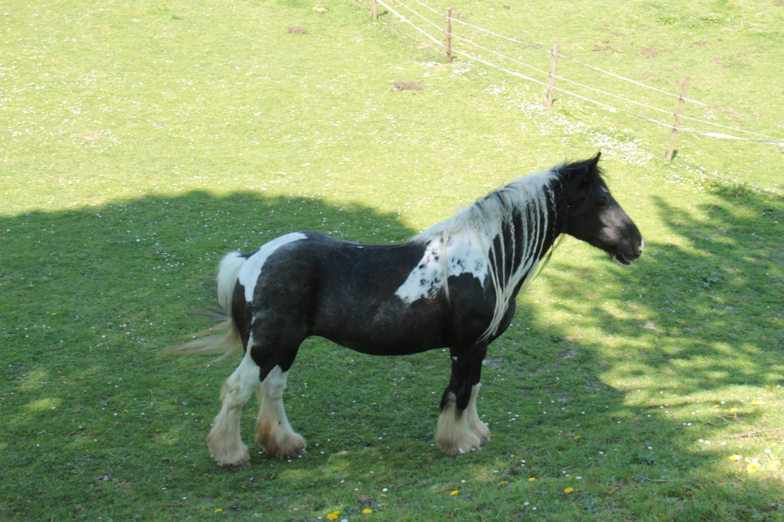 618BCA9B-7792-48C1-A93B-339254DA034E