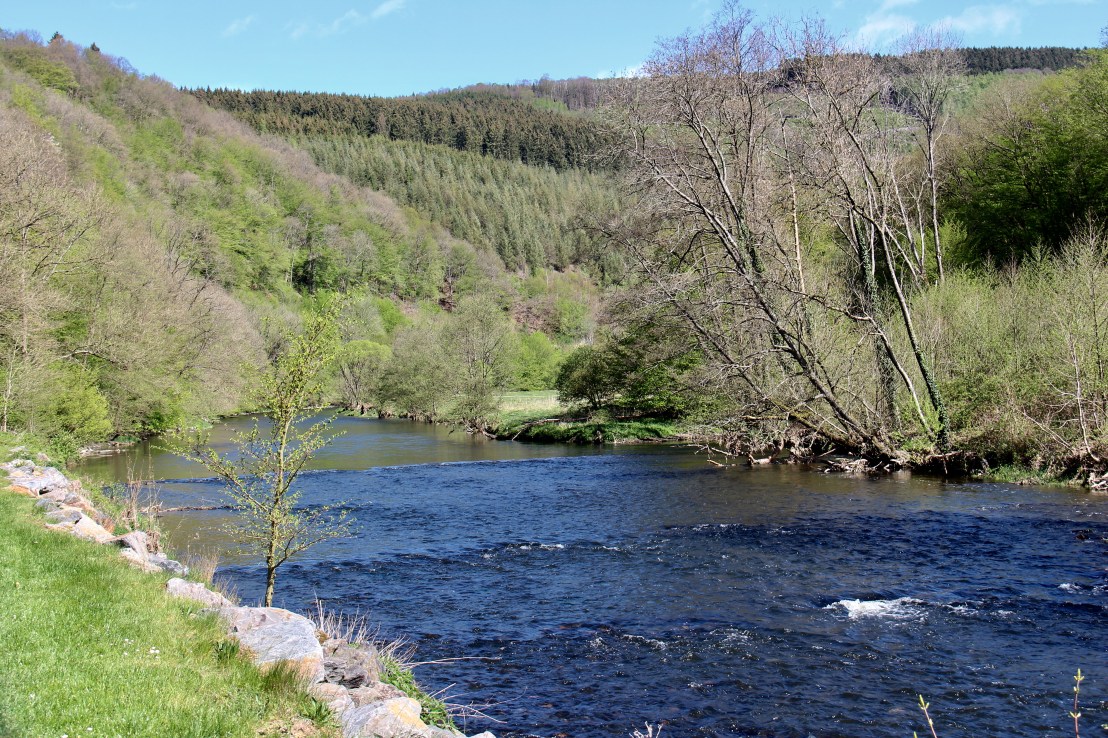 61D03DB6-7F52-44C0-8F4E-A2853715375F