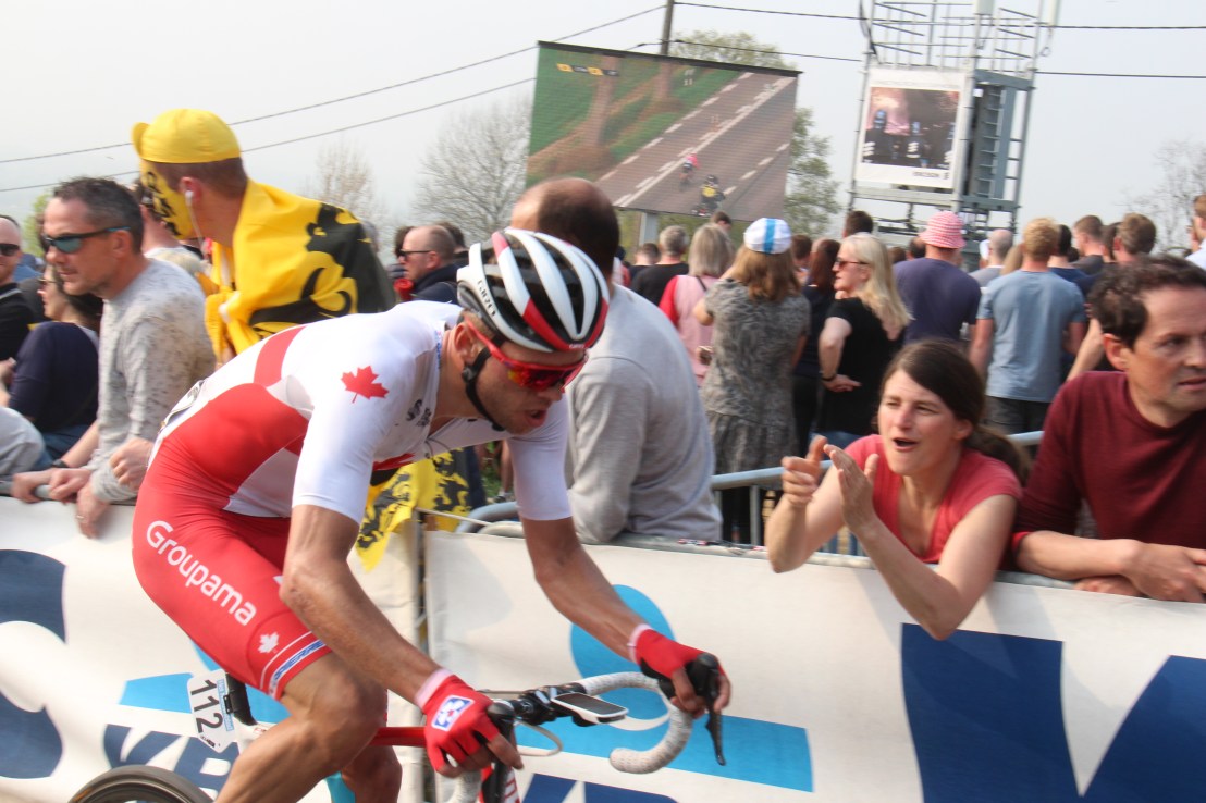 637761D9-1913-438B-875C-EB7E42B4B166