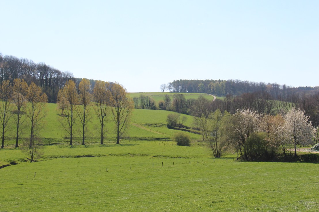 65B292E8-5832-44E4-A648-FED29730A5CC