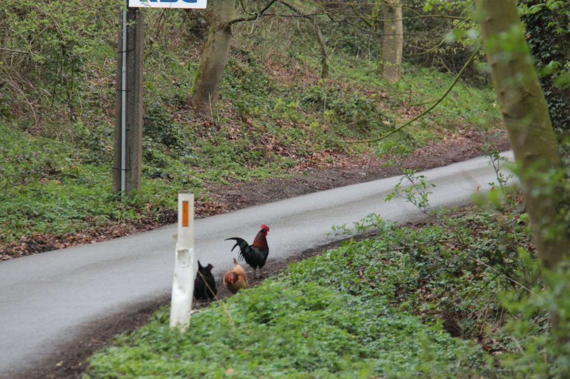 669C3033-6EBC-4ACF-A764-DBBFD600611E