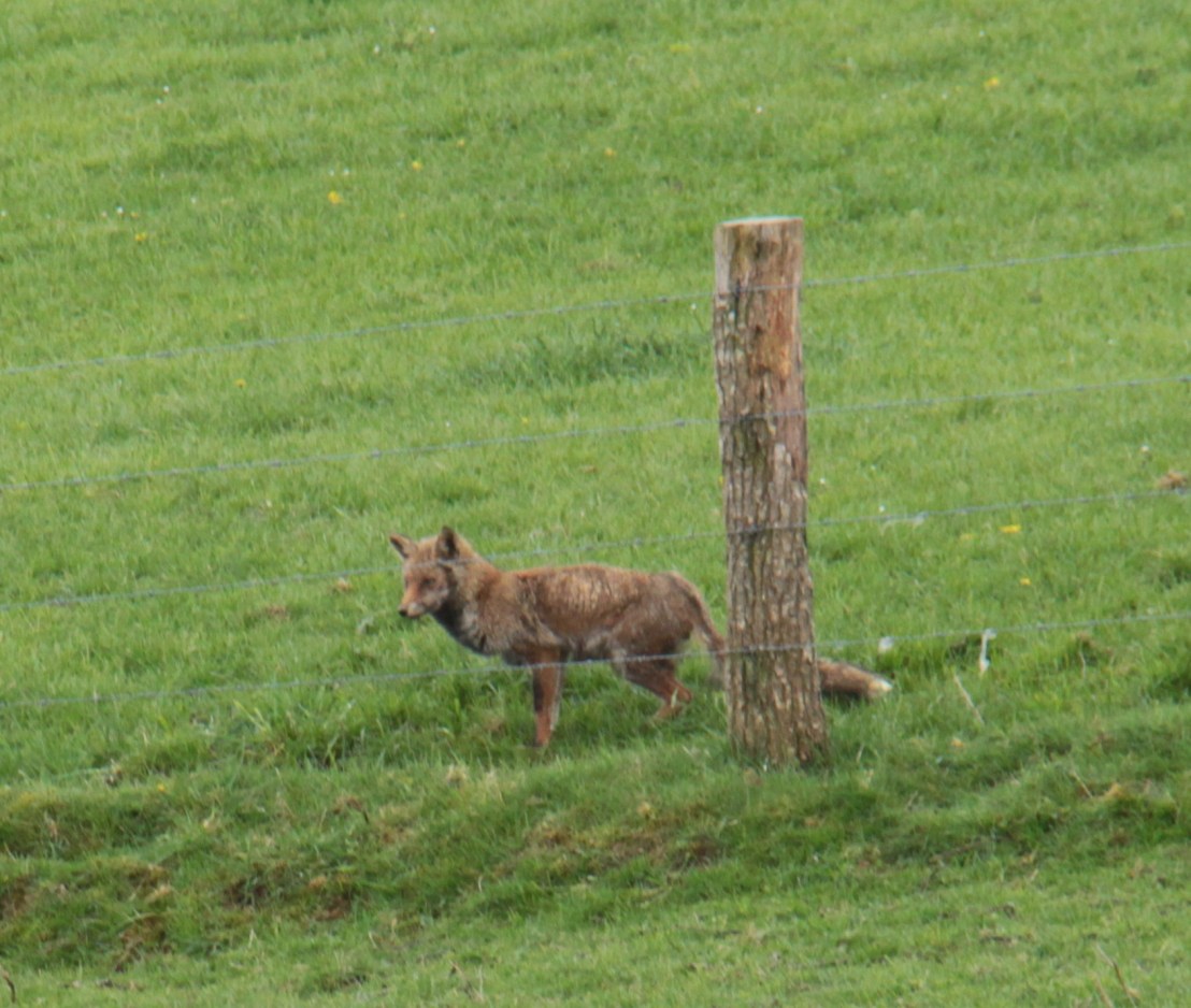 7812B4A9-C26A-4B33-8A63-69B817B2D61D