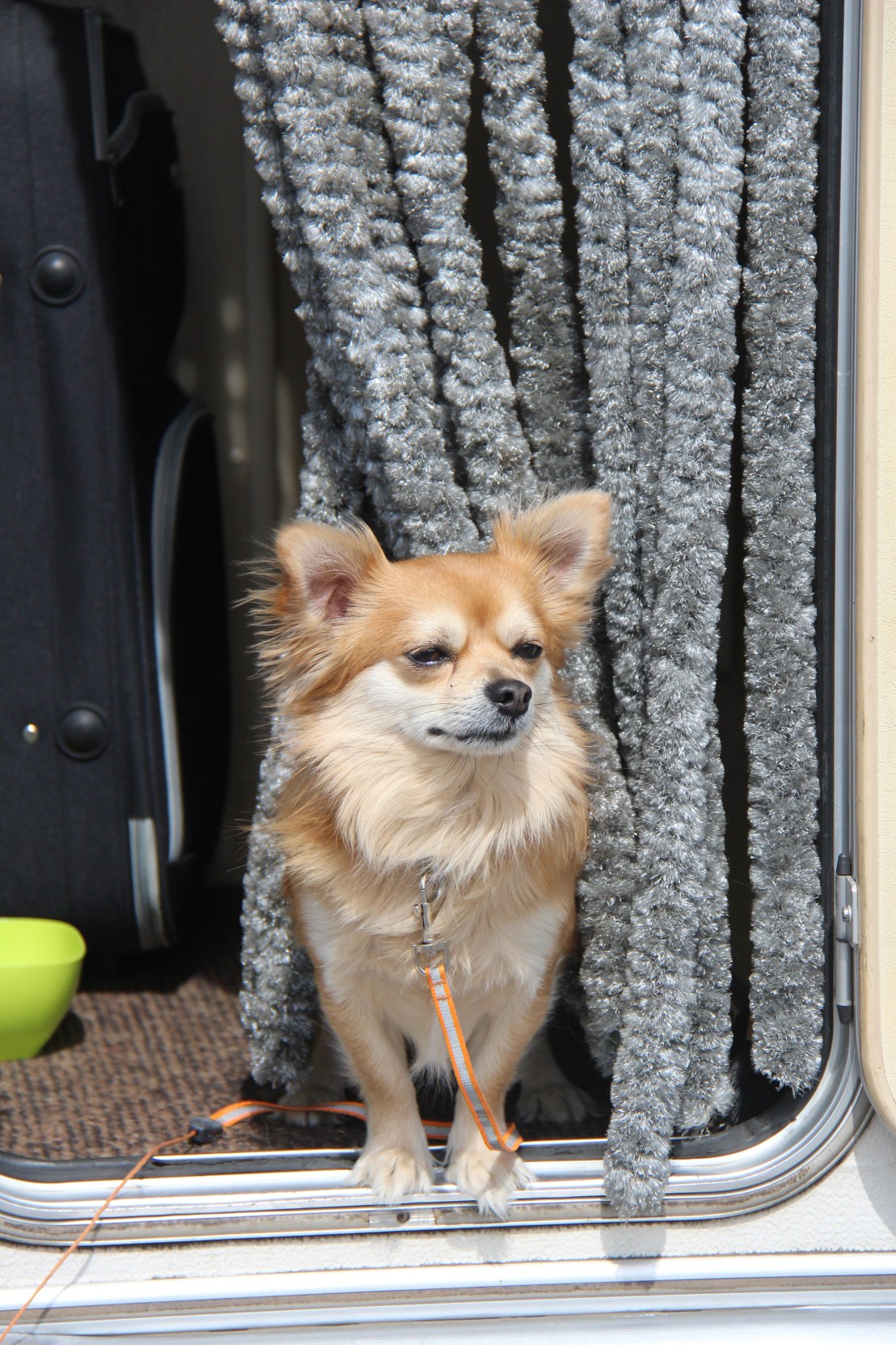 7BA5ED97-D0FC-499B-BEEF-DCBFFE3C6AB7