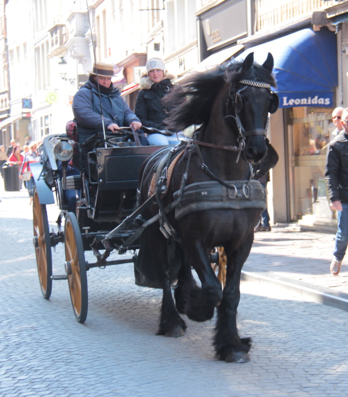 7C8826B3-4A89-4CBF-97E7-72BA9D6EDD80