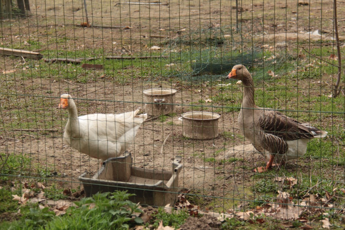 7DE1C3E1-E456-4A73-8A40-14EF31E2B1DF