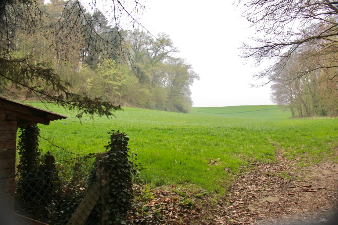 7E817CA3-772A-40E5-AD03-C15486EE5D50