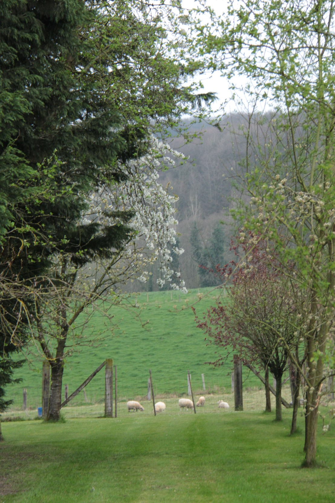 93FB9047-F298-43C1-9C8F-AF6CD65BA911