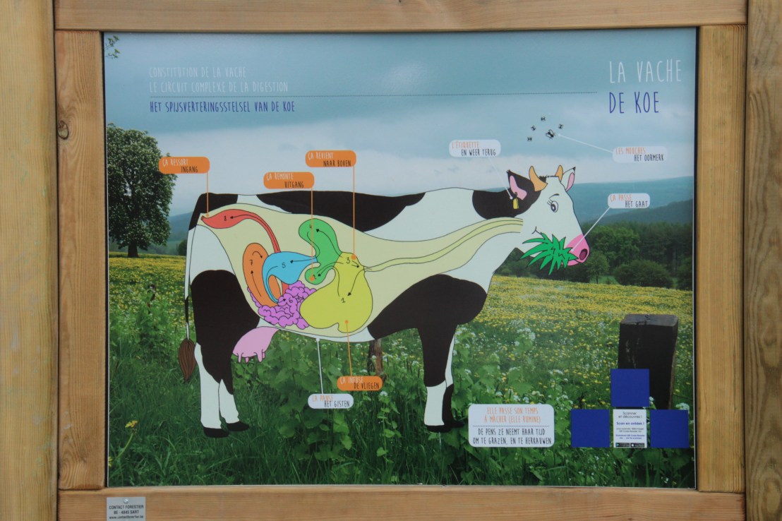 97945103-1ED8-4977-8566-B73955C78EA6