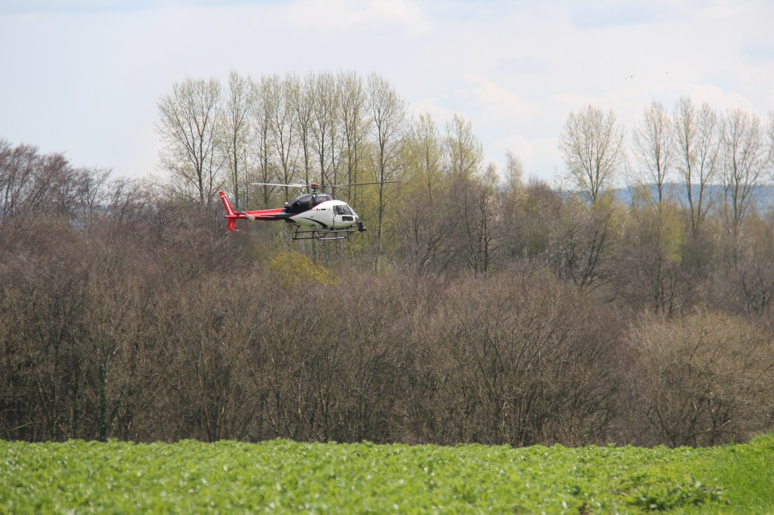 A21477DE-09C6-4688-BA5F-353A7BBBCD8A