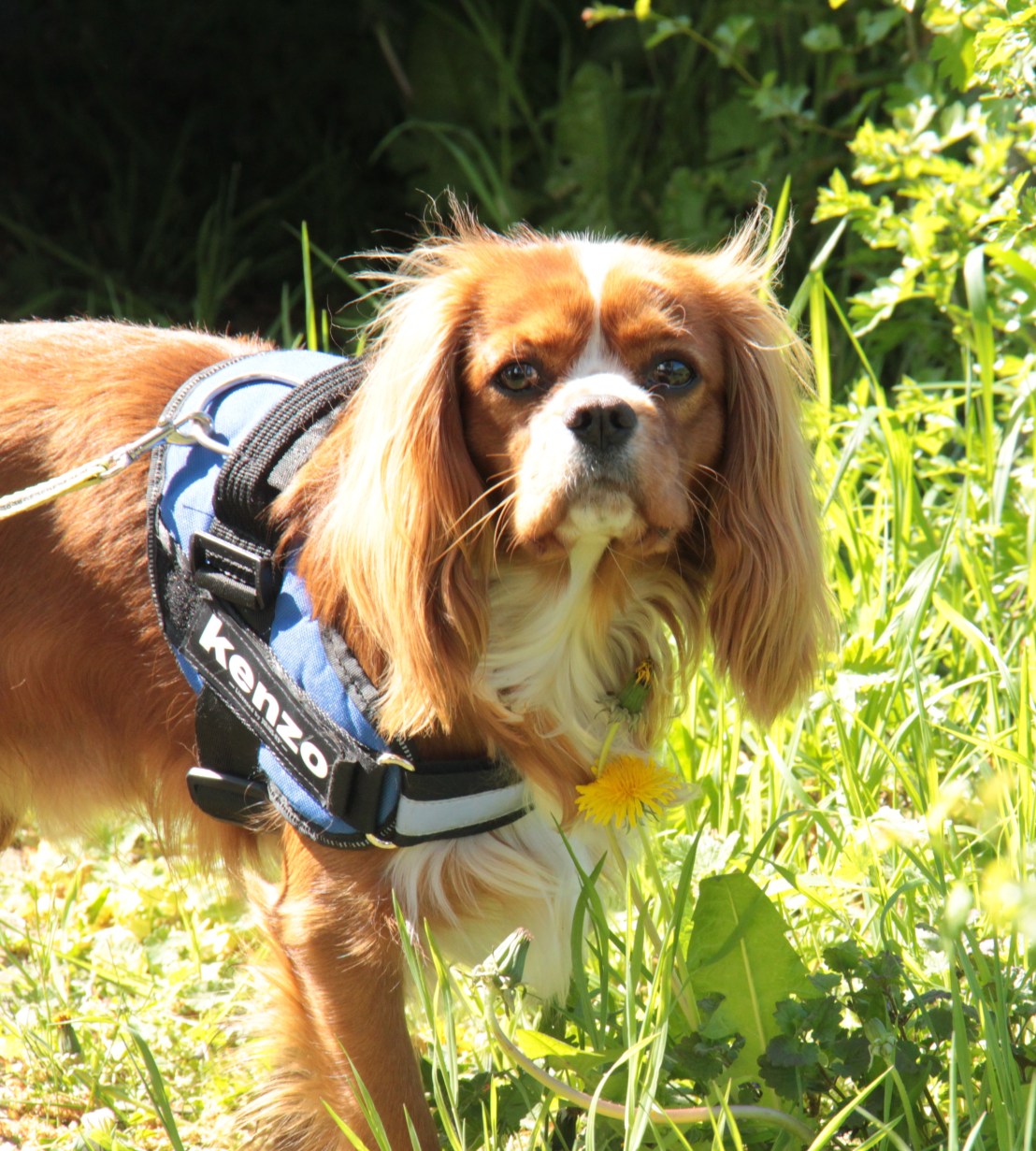 A33FEF2E-8EC8-4B06-B607-A9FB2CB229D2