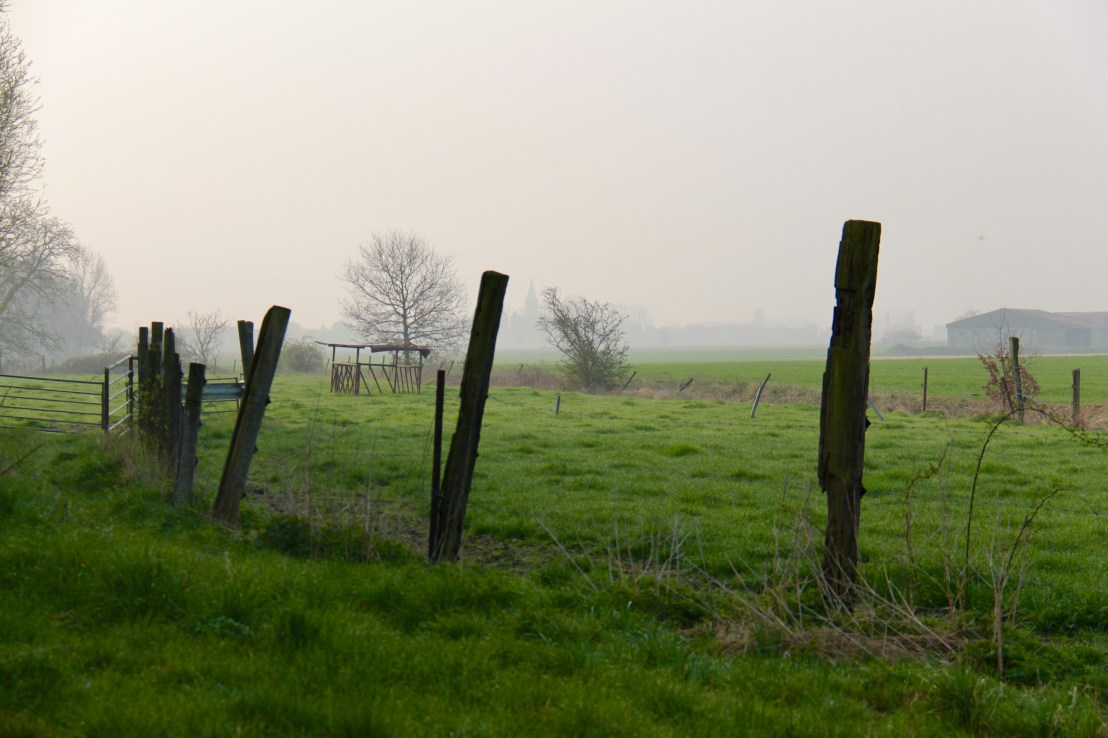 A5D666E7-D6BA-4C2D-A606-BC5CA4BAB315