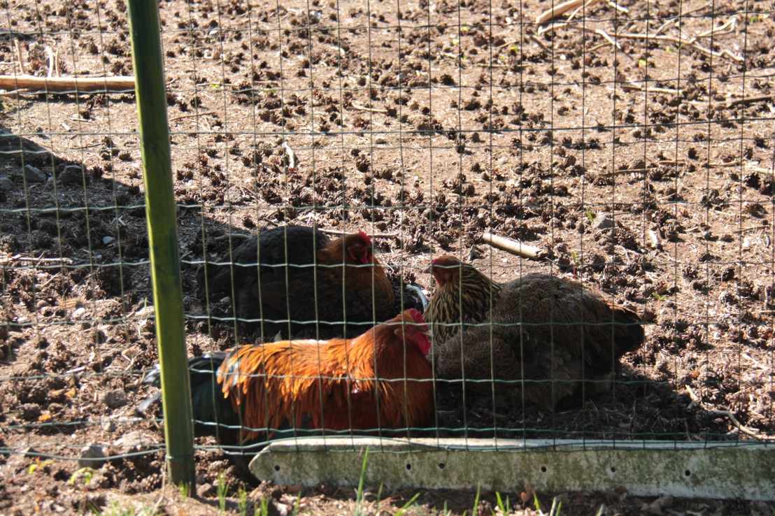 AB175FBD-2FF8-4A4A-9710-ECFF9A8A4956