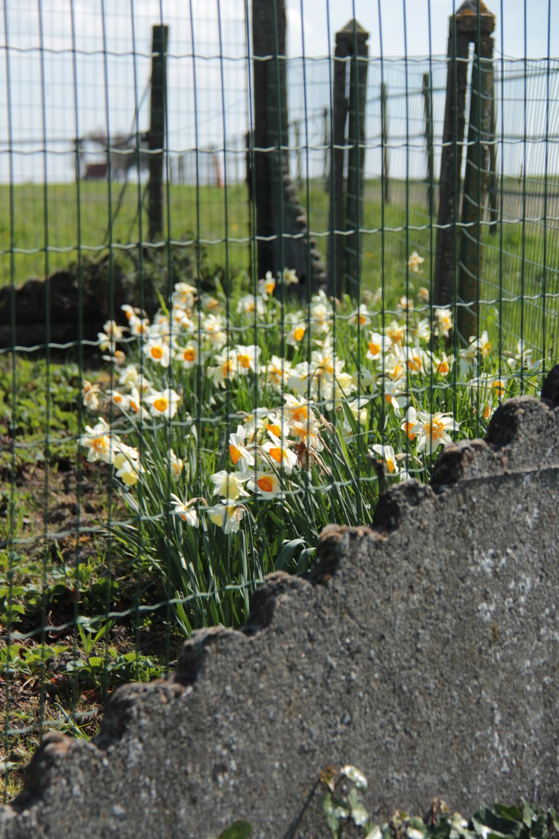 AC65CB7D-F3EB-433B-978B-4F6D68EDE36A