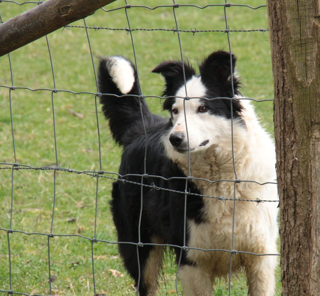 AF79F929-567F-4D8A-B654-3393EC74E6AB