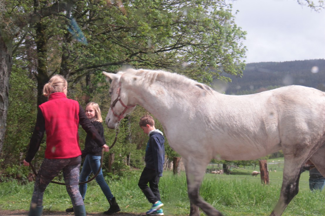 B662ECD9-700F-4A66-B975-B3482146DB4B