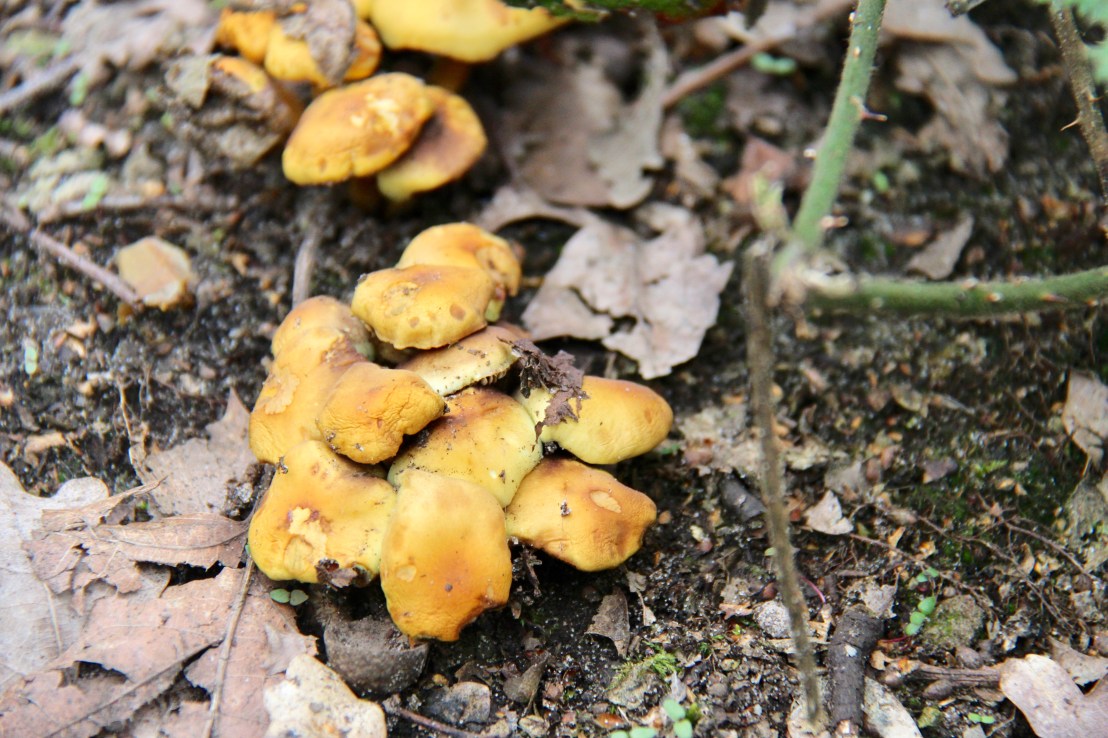 B852AF19-895D-4560-B75E-D65E6C588219