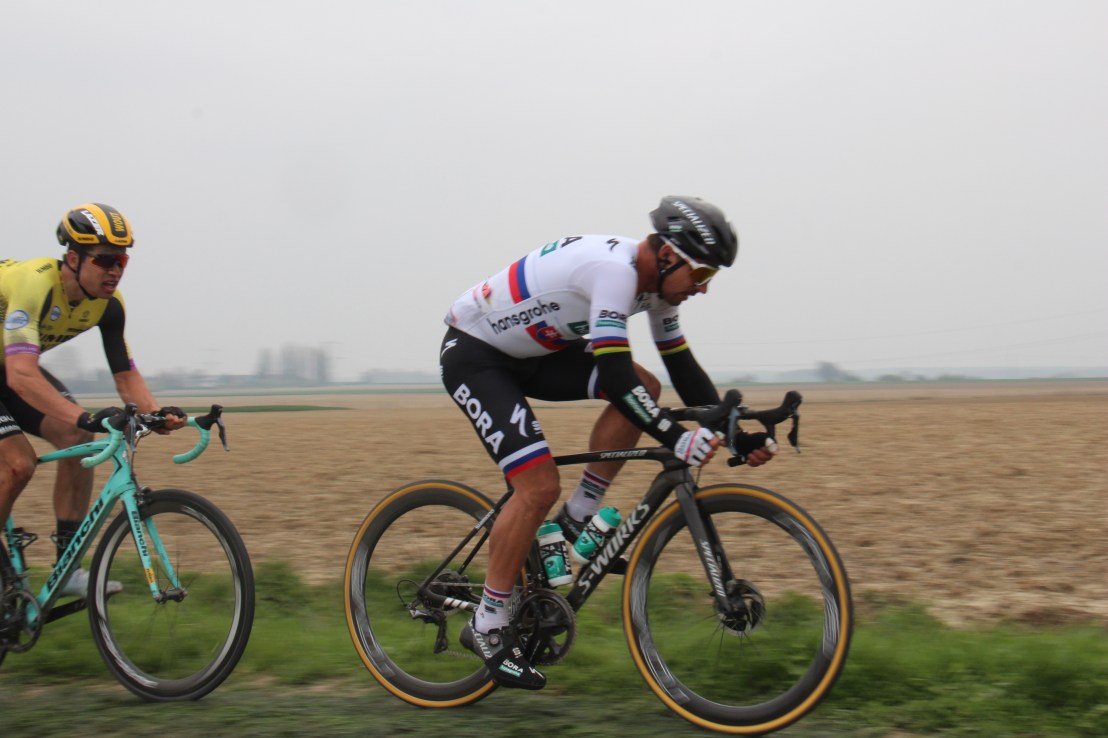 C82EE7F7-AE75-4EA2-BB93-87C4654A0D95