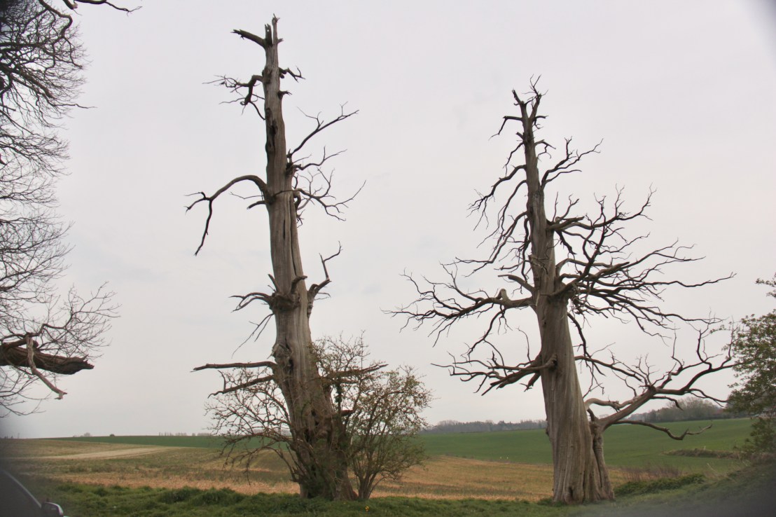 C82F38AF-12DF-4D95-829F-EDA7810C5C39