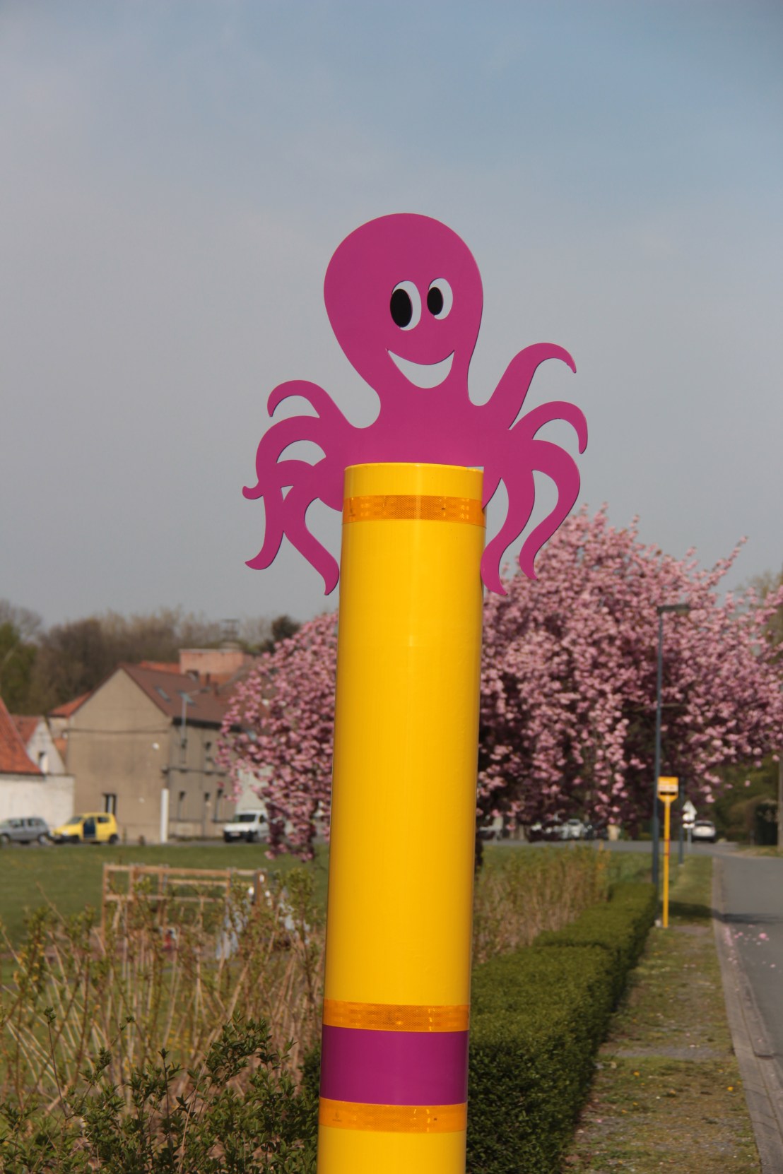 CB72A563-97CF-448F-A1C2-D90B4C995397