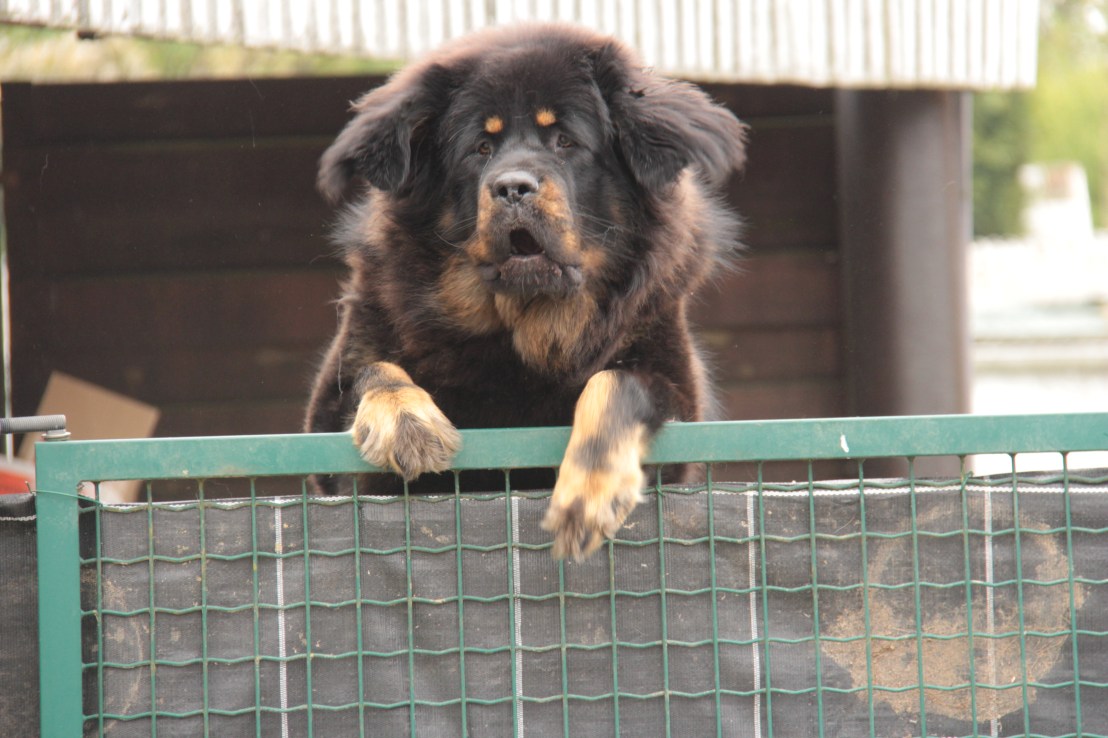 CC52208A-4AE8-4468-98FA-8AE7DC117F95