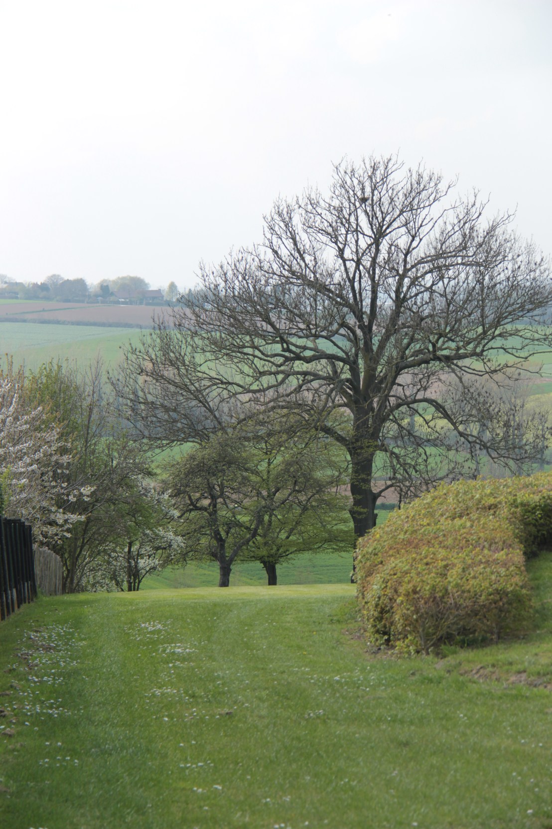 D1ABB8D1-CBE0-475F-A3CC-A2E1FEF06951