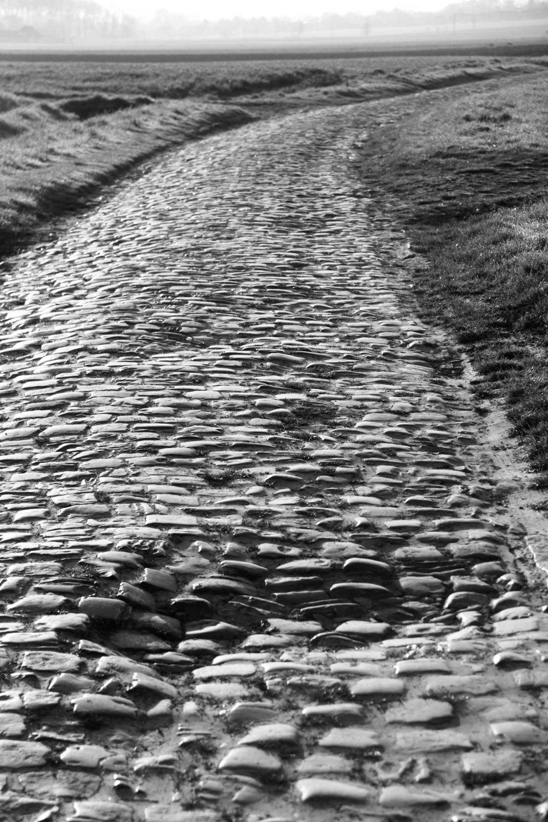 D2A0FA80-04B4-4ECE-B6E5-196DEC762F24