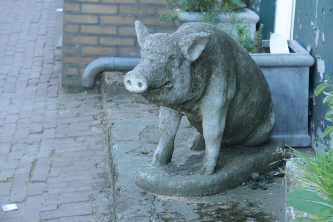 D586A948-2487-4406-9902-F6E38FB3FB31