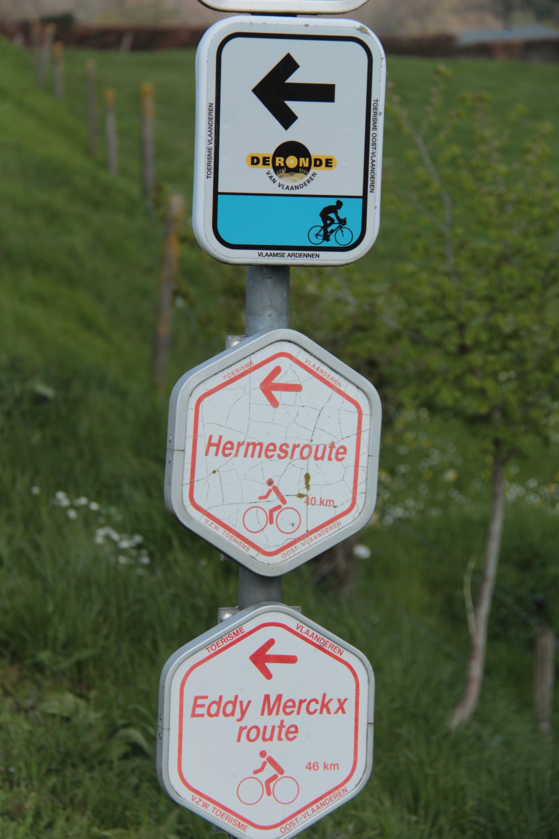 DFAD867C-8E5B-498D-8687-18F3B73F48C5