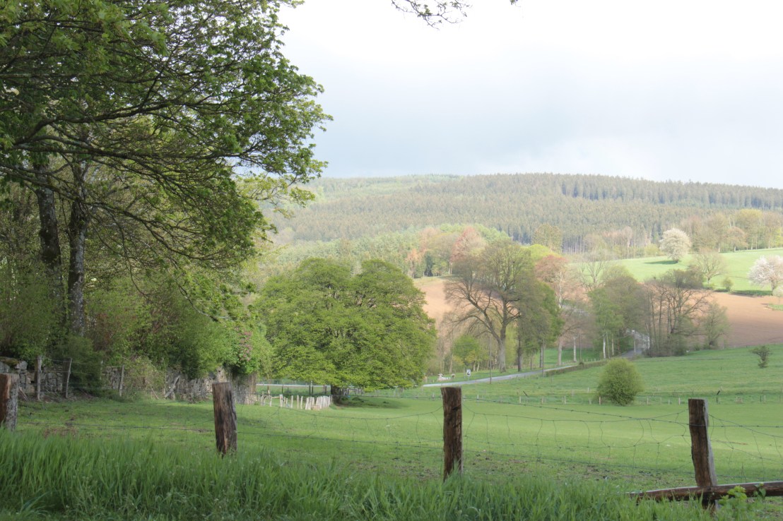 E58F8562-2ED7-4446-A030-5DB6A4B02B02