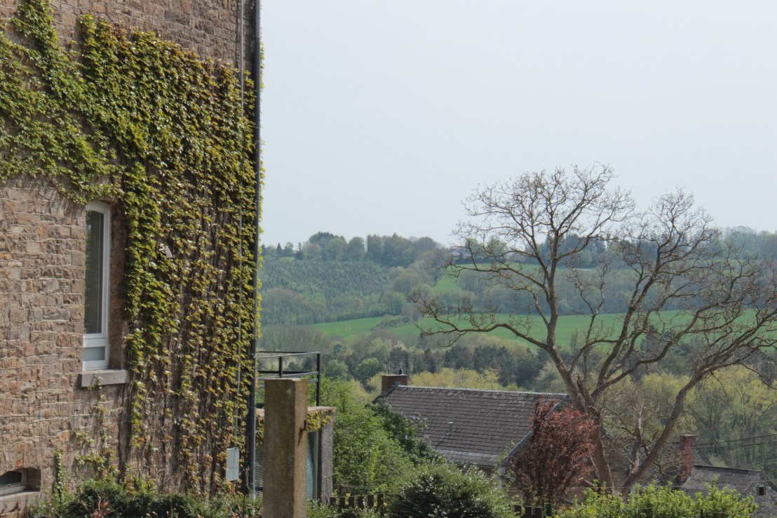 E83815FE-CAD3-4EA6-A687-00CE01141A33